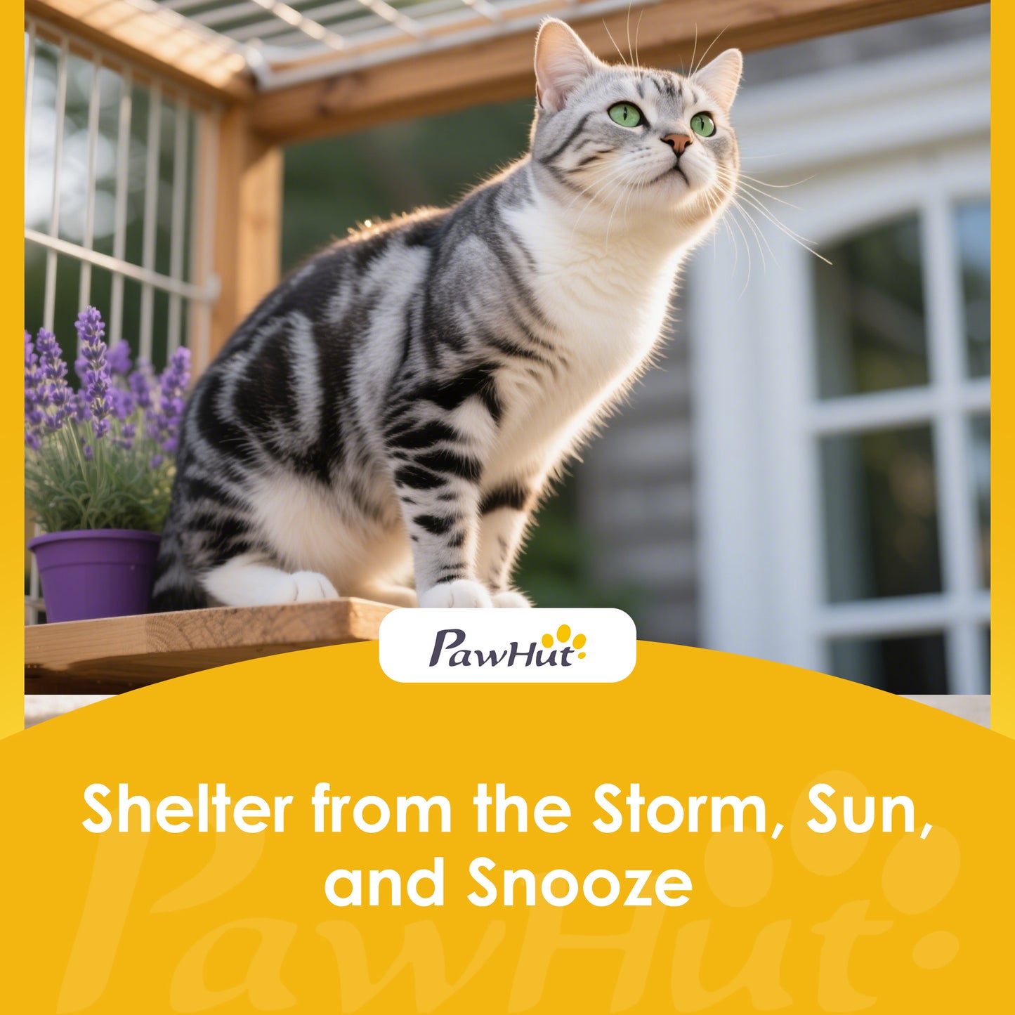 PawHut Outdoor Cat House Insulated with Openable Roof, Weatherproof Feral Cat Shelter for Rabbits, Cats, Grey--ChewyGames-ChewyGames
