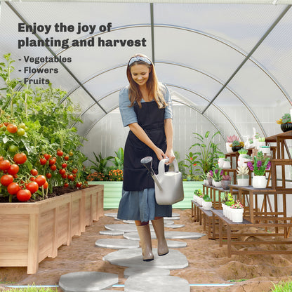 Outsunny Poly Tunnel for Garden, Walk-in Polytunnel with Door and Roll Up Windows, 6 x 3 x 2 m, White
