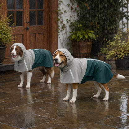 PawHut Dog Raincoat with Hood, Waterproof & Breathable Rain Jacket with Leash Hole, for Medium Dogs, Green, M
