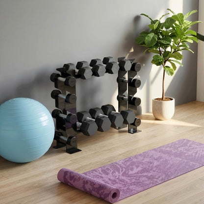 SPORTNOW 4-Tier Dumbbell Rack, Heavy-Duty Weight Rack for Dumbbells, Kettlebells and Multiple Balls, 200 KG Capacity, Black