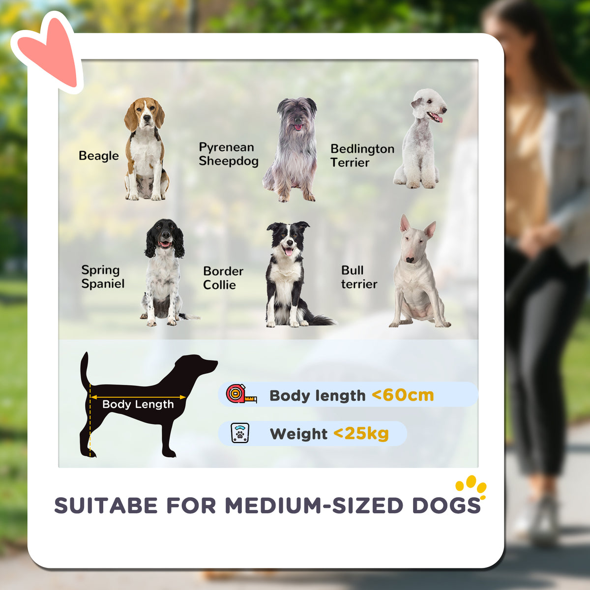 PawHut Foldable Pet Stroller for Medium Dogs with 4 Big Wheels, Shock-Absorbing Frame, Safety Leashes, Brakes, Dark Grey