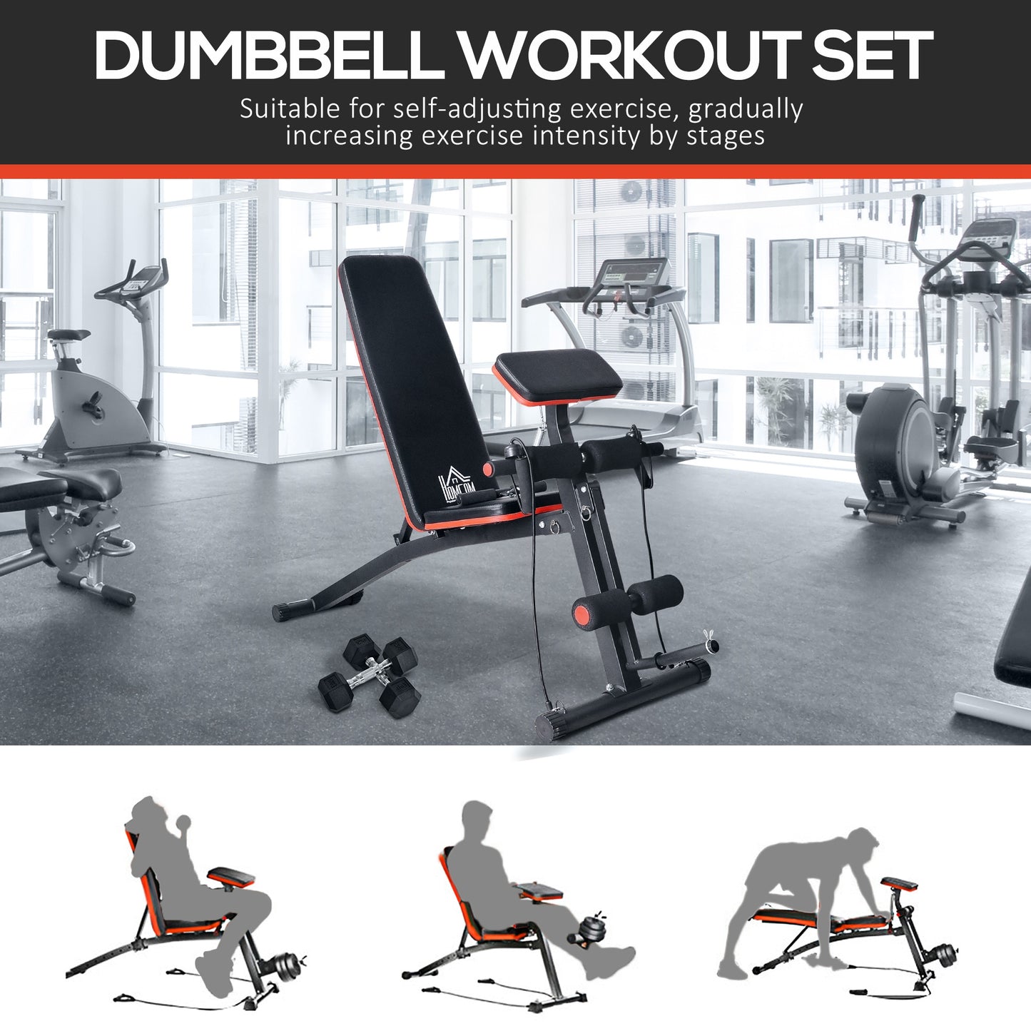 HOMCOM Adjustable Reclined Dumbbell Bench Weight Lifting Set Folding Sit Up Ab Bench Home Training Gym Multiuse Workout Exercise Fitness with 2 x 4kg Dumbbells