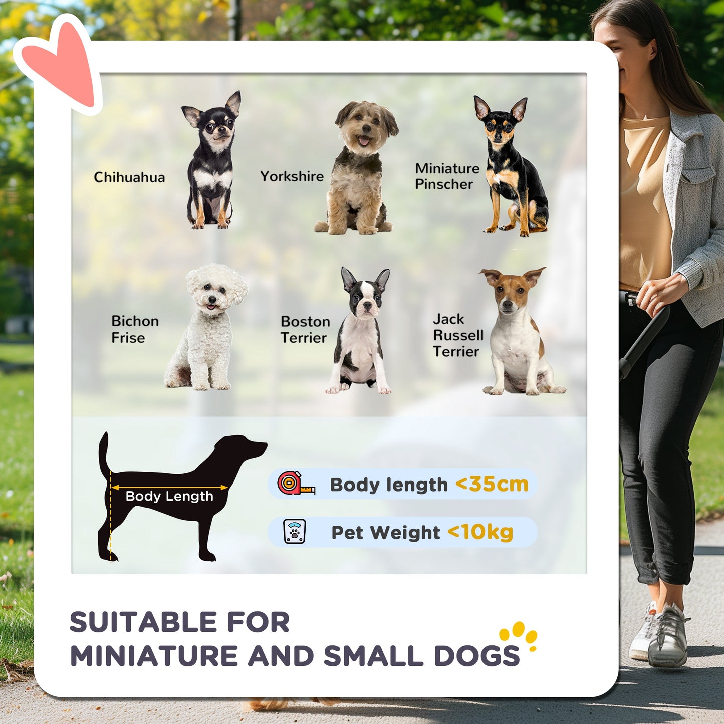 PawHut 3 Wheel Pet Stroller for Small and Miniature Dogs, Brown