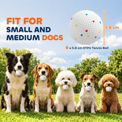 PawHut 6 Pack Dog Balls Toys Fits Aggressive Chewers, Indestructible Teething and Water ETPU Balls for Throw and Fetch