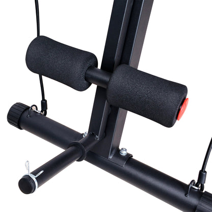 HOMCOM Adjustable Reclined Dumbbell Bench Weight Lifting Set Folding Sit Up Ab Bench Home Training Gym Multiuse Workout Exercise Fitness with 2 x 4kg Dumbbells