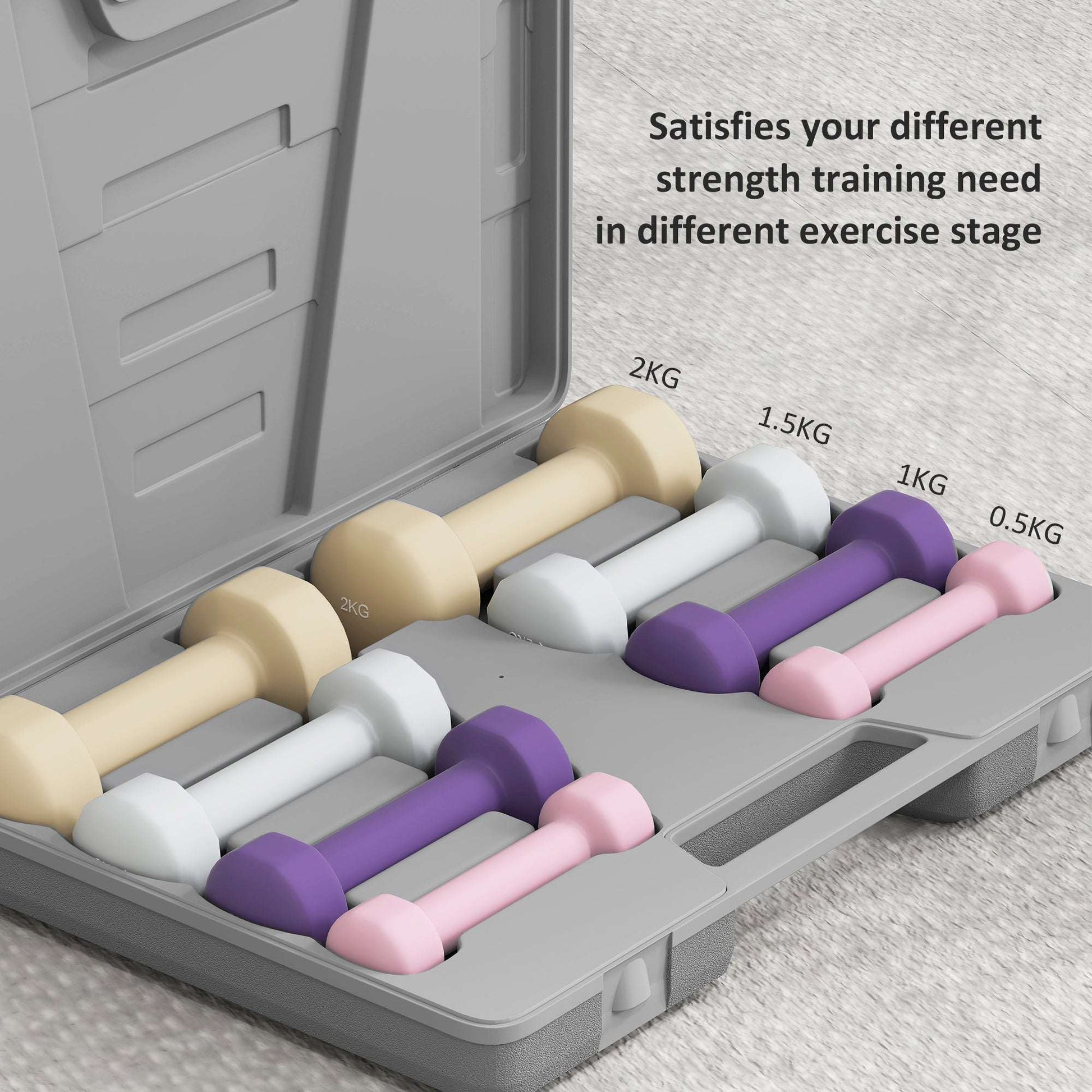 HOMCOM 10KG Dumbbells Set with Carry Case, Hand Weights for Women and Men Home Gym Weight Lifting Training, Pink, Purple, Grey, Brown