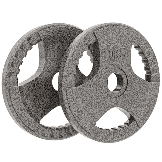 HOMCOM Set of 2 Cast Iron Weight Plates for 2 inch/5cm Hole Dumbbell Handle Bar, 20kg Dumbbell Plates Barbell Weight 2 x 10kg