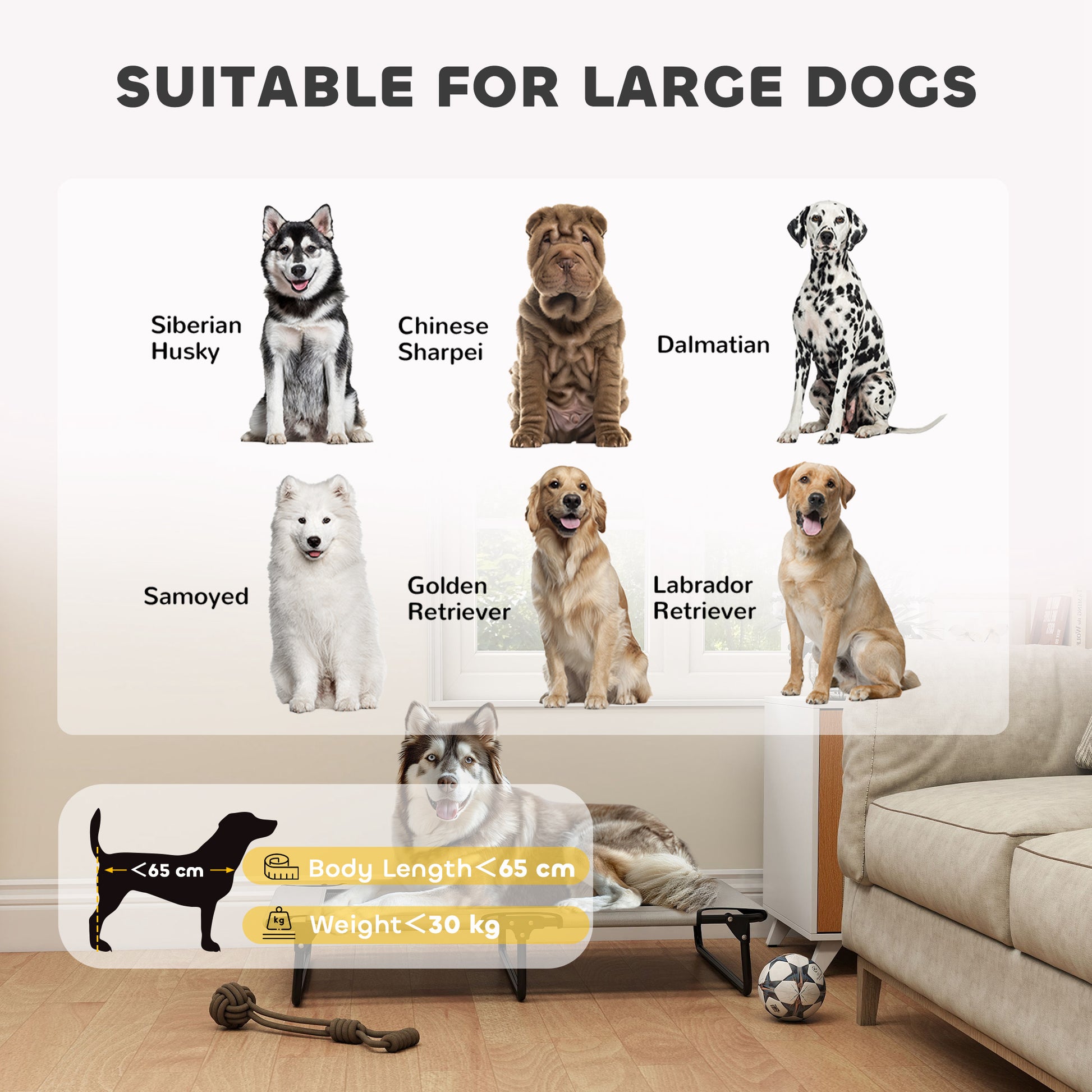 PawHut Portable Raised Dog Bed, Elevated Pet Cot with Breathable Mesh for Indoor Outdoor, for Large Dogs, Light Grey-Pet Cots-ChewyGames-ChewyGames