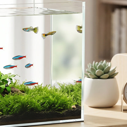 PawHut Fish Tank Bare Glass for DIY Glass Aquarium with Protective Base Mat 43L Transparent for Fish Shrimps